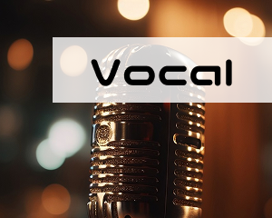 ヴォーカル