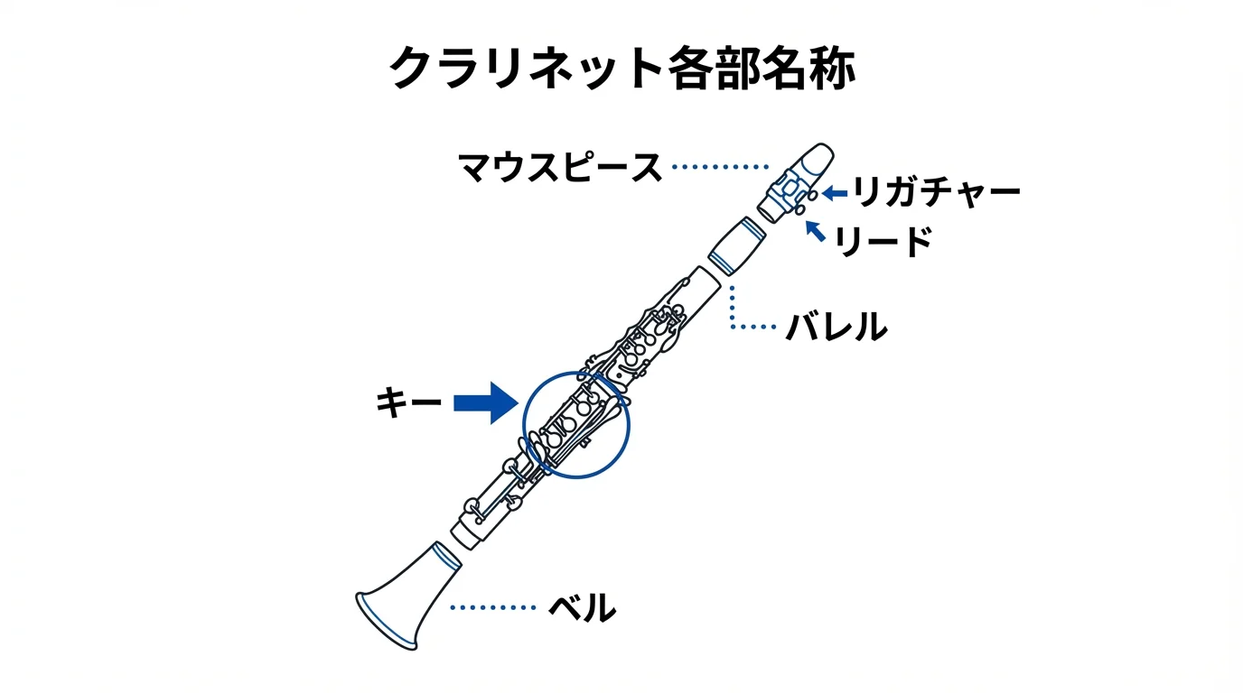 本文中：クラリネットの基礎知識セクション