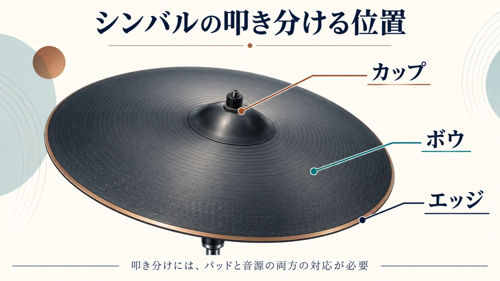 シンバルのカップ・ボウ・エッジの位置を示す図