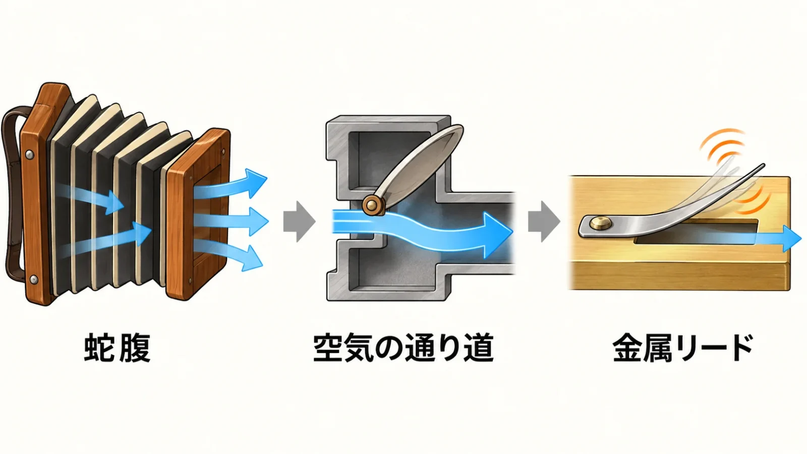 蛇腹の空気が開いた通り道を通り、片端固定の金属の舌を振動させる三段階の概念図。
