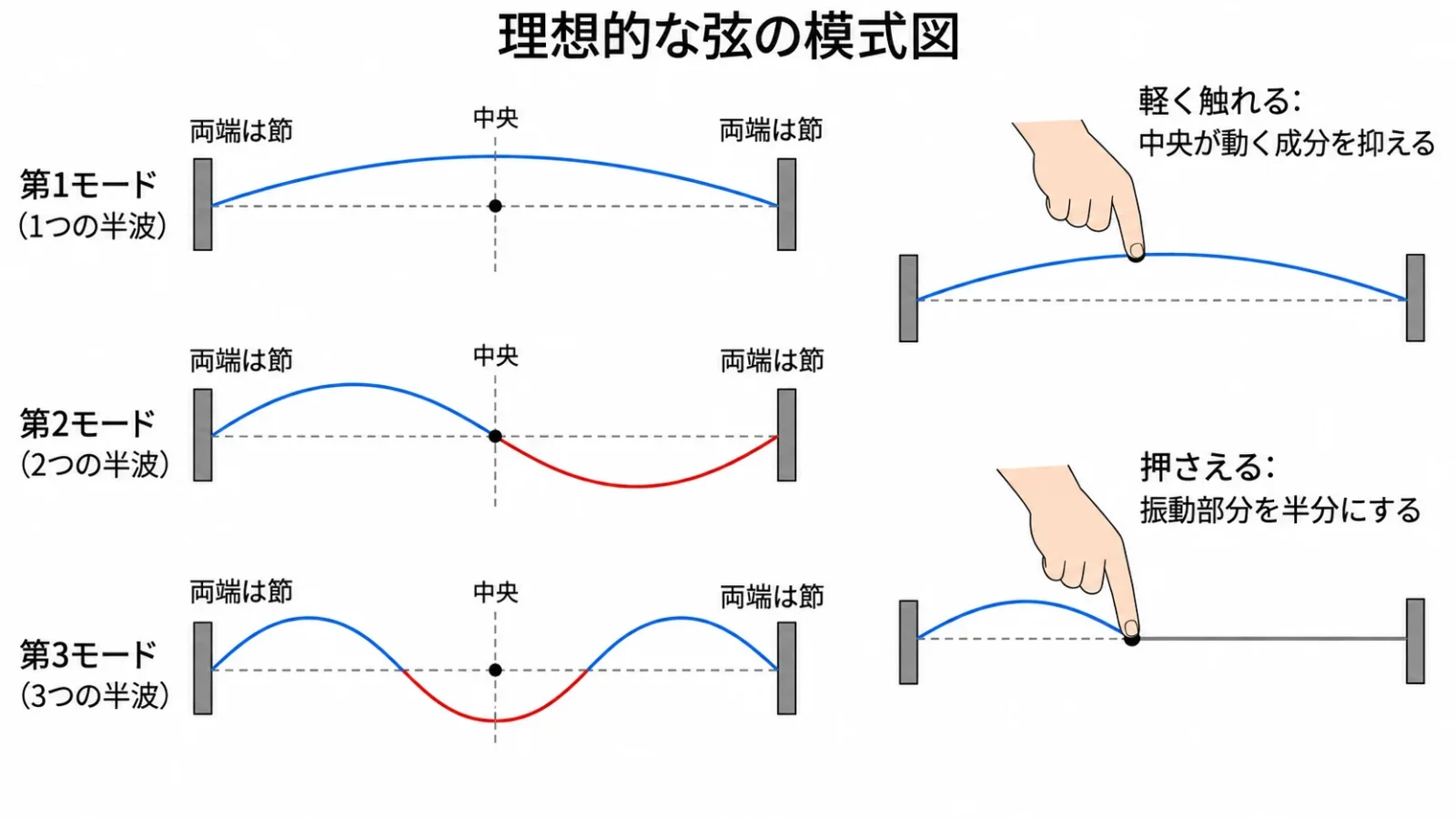 弦の中央に触れると偶数次が残りやすい節と腹の図