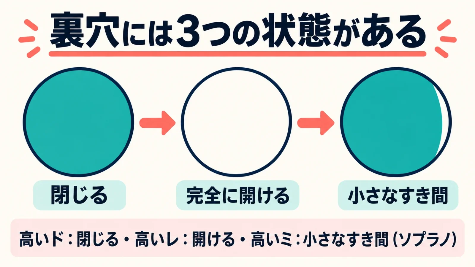 裏穴には3つの状態がある。閉じる／完全に開ける／小さなすき間／高いド：閉じる・高いレ：開ける・高いミ：小さなすき間（ソプラノ）