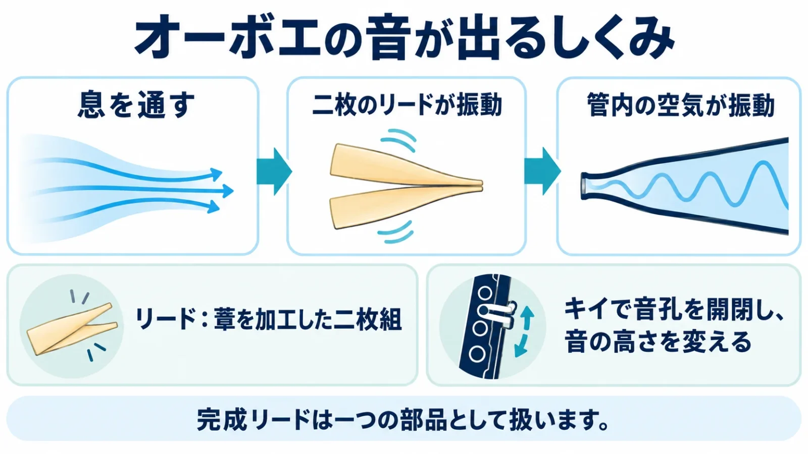 オーボエの発音の概念図。息を通し、二枚のリードと管内の空気が振動する。キイで音孔を開閉して高さを変える。完成リードは一つの部品。