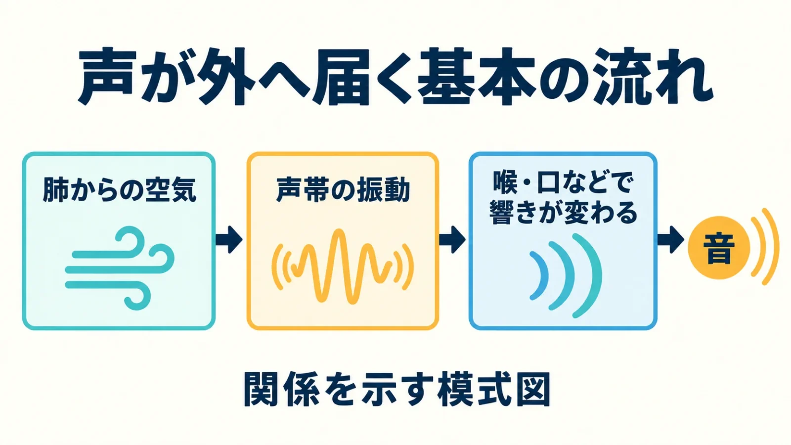 肺からの空気、声帯の振動、喉や口の響きという基本の流れを読む