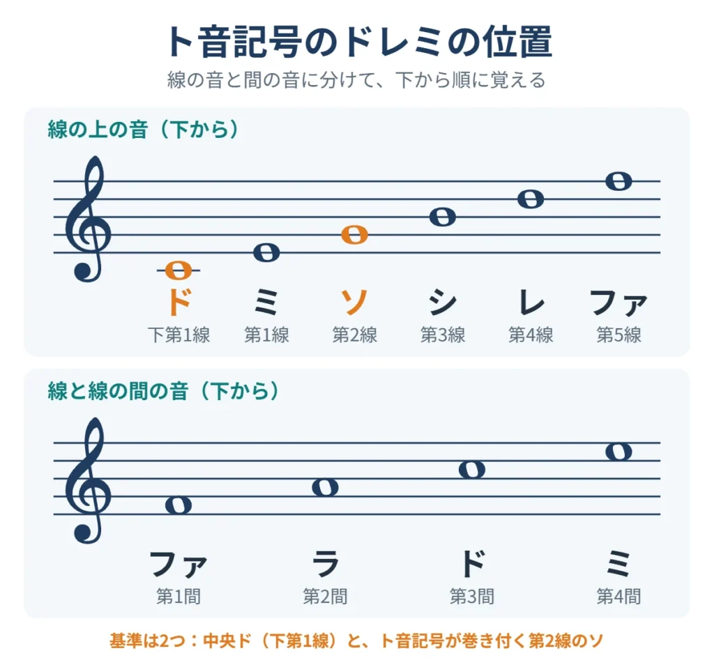 ト音記号のドレミの位置。線はミ・ソ・シ・レ・ファ、間はファ・ラ・ド・ミ